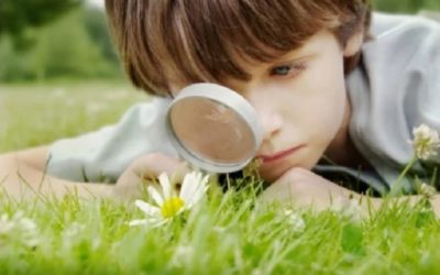 Teaching Resources to Nurture the Little Scientist